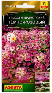 Алиссум приморский Темно-розовый