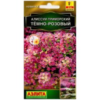 Алиссум приморский Темно-розовый