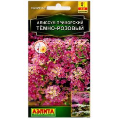 Алиссум приморский Темно-розовый