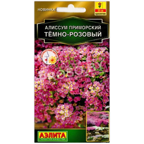 Алиссум приморский Темно-розовый