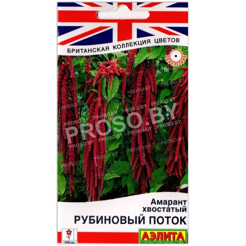 Амарант хвостатый Рубиновый поток
