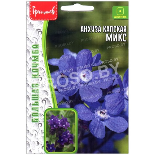 Анхуза капская Микс