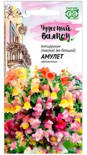 Антирринум Амулет, смесь