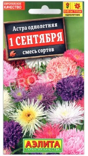 Астра 1 сентября, смесь
