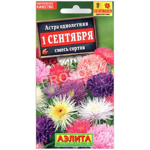 Астра 1 сентября, смесь