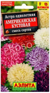 Астра Американская кустовая, смесь