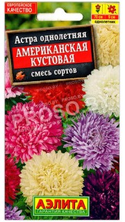 Астра Американская кустовая, смесь
