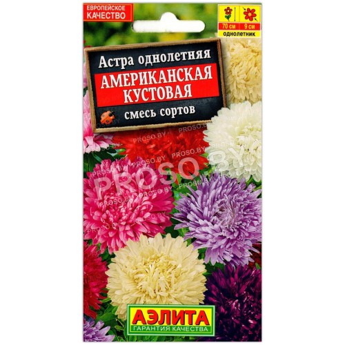 Астра Американская кустовая, смесь