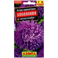 Астра Аполлония светло-голубая