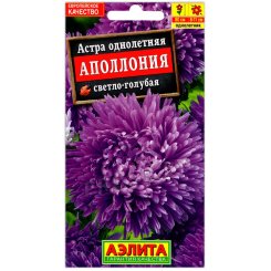 Астра Аполлония светло-голубая