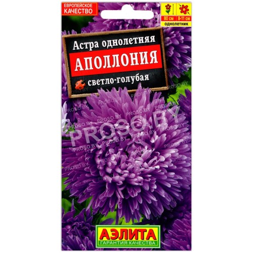 Астра Аполлония светло-голубая