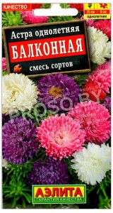 Астра Балконная, смесь