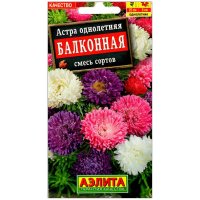 Астра Балконная, смесь