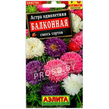 Астра Балконная, смесь