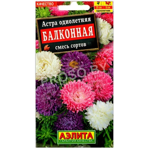 Астра Балконная, смесь