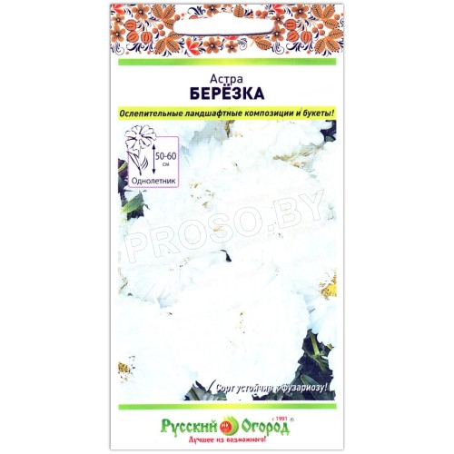 Астра Березка