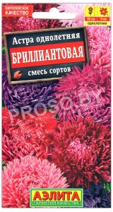 Астра Бриллиантовая, смесь