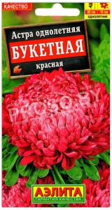 Астра Букетная красная