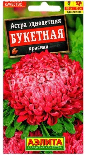Астра Букетная красная