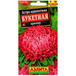 Астра Букетная красная