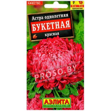 Астра Букетная красная