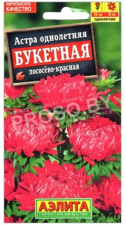 Астра Букетная лососево-красная