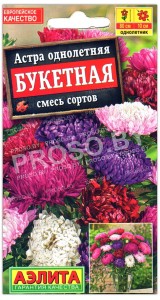 Астра Букетная, смесь