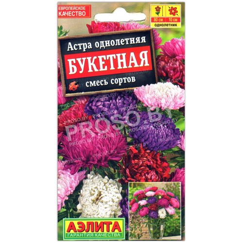 Астра Букетная, смесь