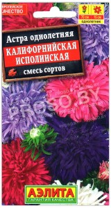 Астра Калифорнийская исполинская, смесь