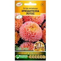 Астра китайская Хризантелла лотос