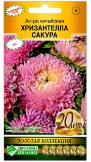 Астра китайская Хризантелла сакура