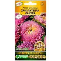 Астра китайская Хризантелла сакура