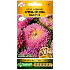 Астра китайская Хризантелла сакура