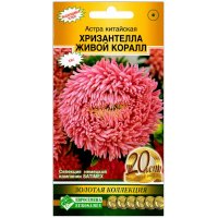 Астра китайская Хризантелла живой коралл