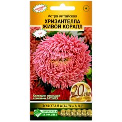 Астра китайская Хризантелла живой коралл