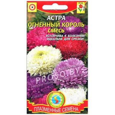 Астра китайская Огненный король, смесь