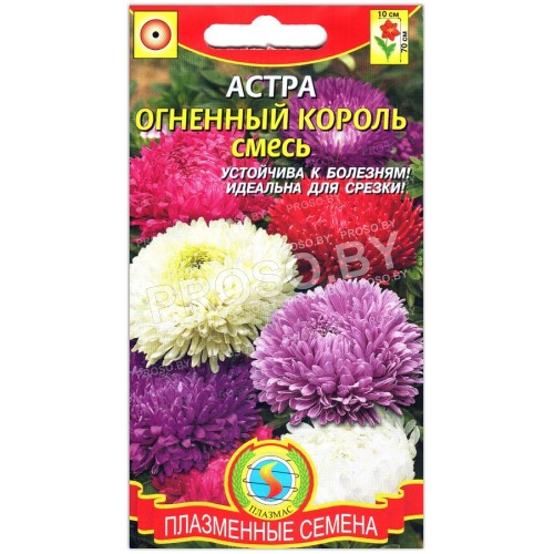 Астра китайская Огненный король, смесь-1