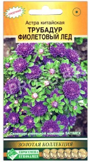 Астра китайская Трубадур фиолетовый лед