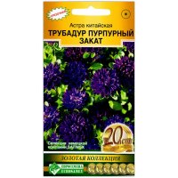 Астра китайская Трубадур пурпурный закат