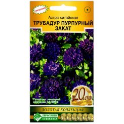 Астра китайская Трубадур пурпурный закат