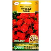 Астра китайская Трубадур рубин