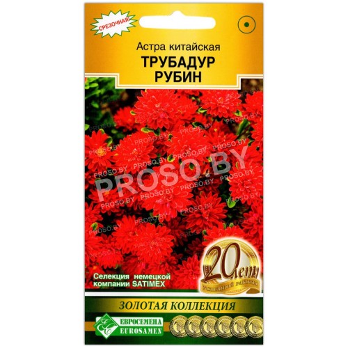 Астра китайская Трубадур рубин