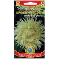 Астра Краллен золотая