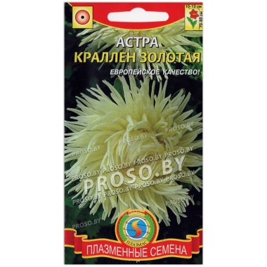 Астра Краллен золотая