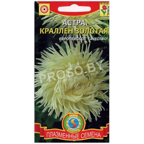 Астра Краллен золотая