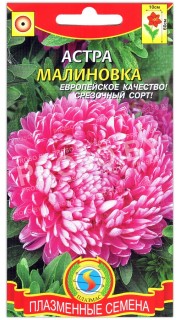 Астра Малиновка