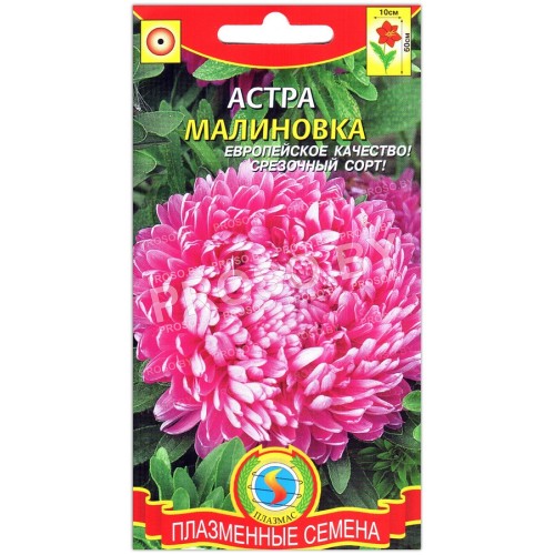 Астра Малиновка