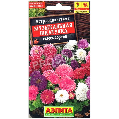Астра Музыкальная шкатулка, смесь