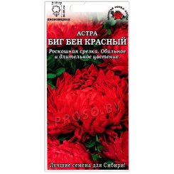 Астра пионовидная Биг бен красный