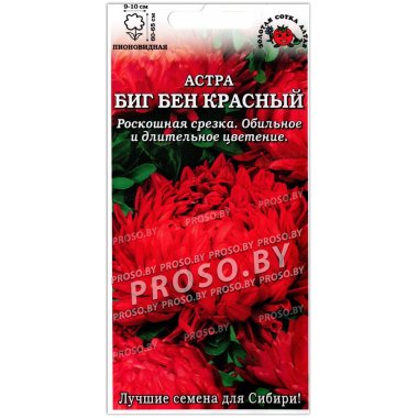 Астра пионовидная Биг бен красный